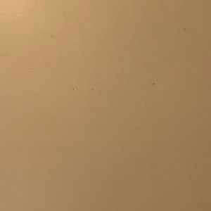 Meet your Posher, Stanley